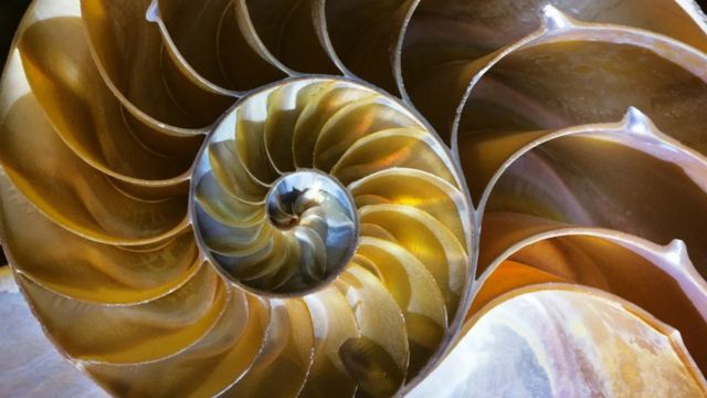 Espiral e seus significados