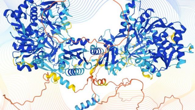 Illustration of the three-dimensional structure of a protein