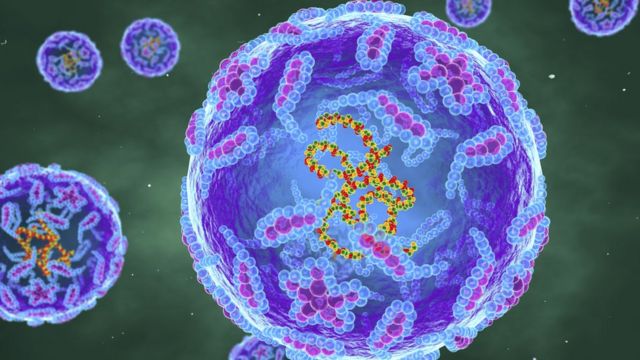 صورة تبين جزيئات فيروس شلل الأطفال