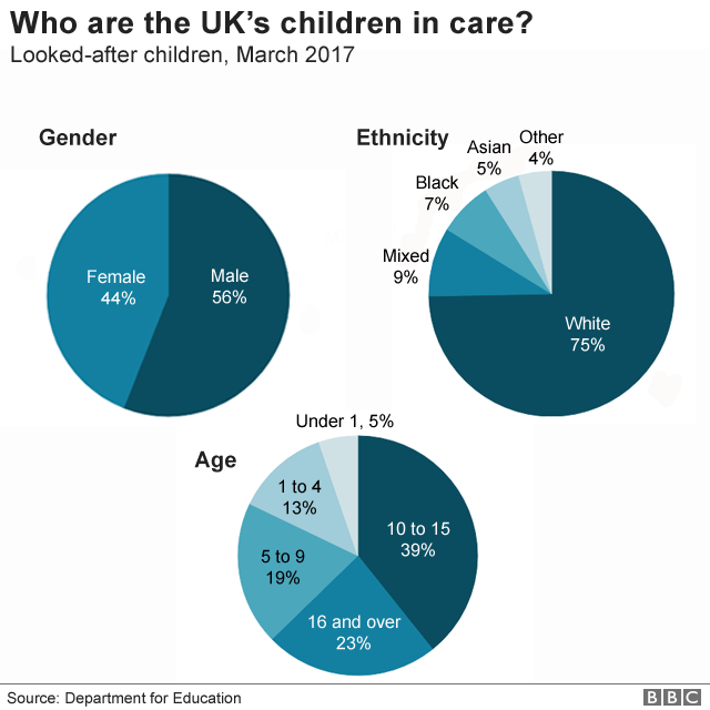 Chart showing the profiles of children in care