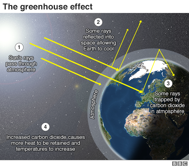 What Is Climate Change A Really Simple Guide c News