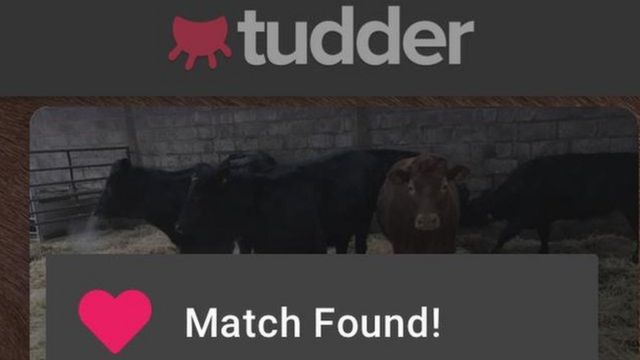 Pronalazak partnera na Taderu