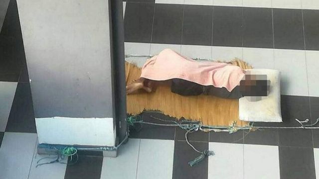 Adelina tidur di beranda bersama anjing peliharaan majikannya.