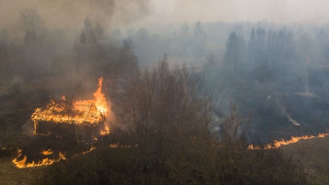 Пожежі на Житомирщині. Фото