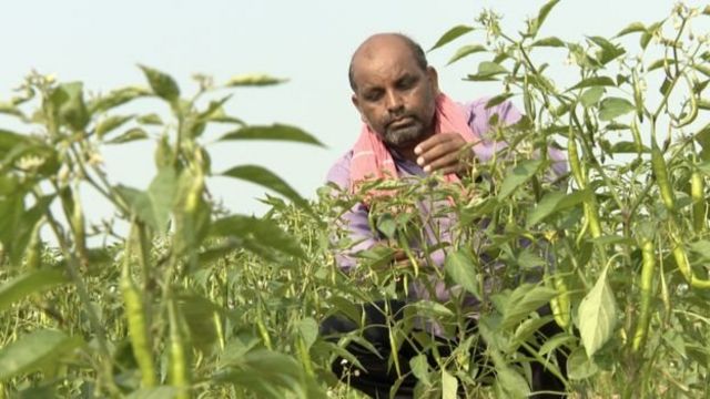 Vijendra Tadvi mengatakan pemerintah seharusnya mengeluarkan dana untuk petani, bukannya patung.