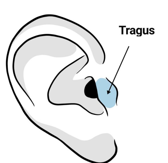 Ilustração de uma orelha com o ponto "tragus"