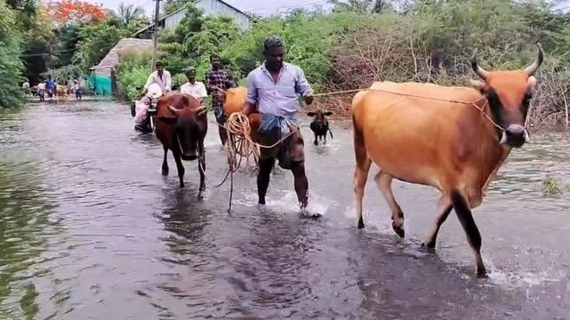 தமிழ்நாடு மழை