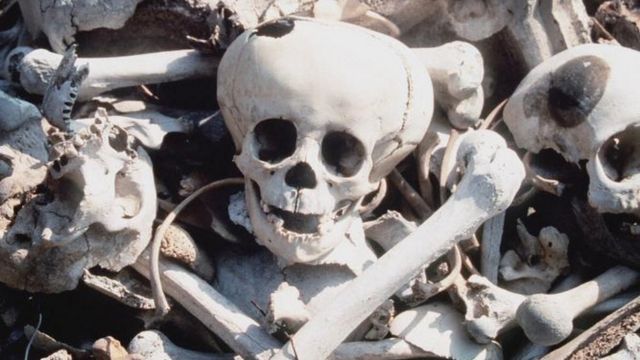 skulls