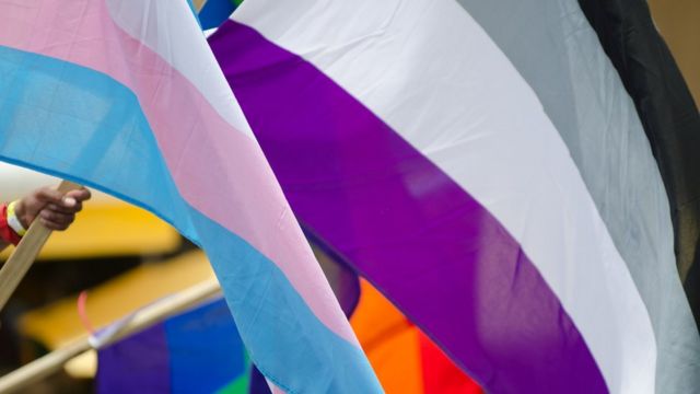 Bandeira que representa a assexualidade, com as cores preta, cinza, branca e roxa