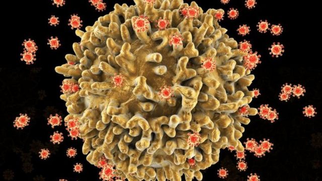 கொரோனா வைரஸ் கோப்புப் படம்