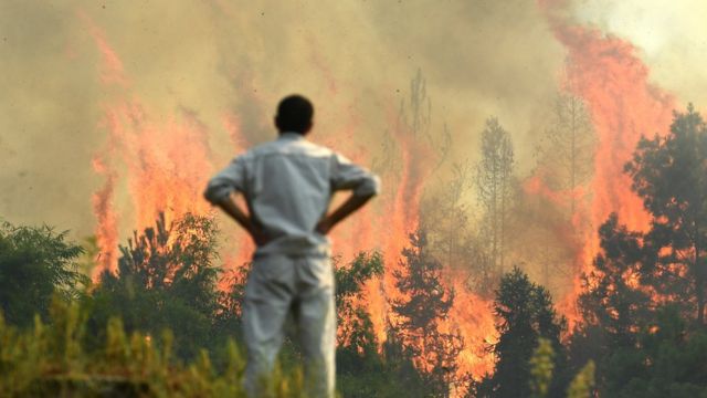 A man in Shentong Town, Nanchuan District, Chongqing looks out at the mountain fire not far away (Photo by China News Agency 18/8/2022)