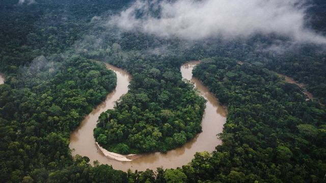 Visão aérea de rio na Floresta Amazônica