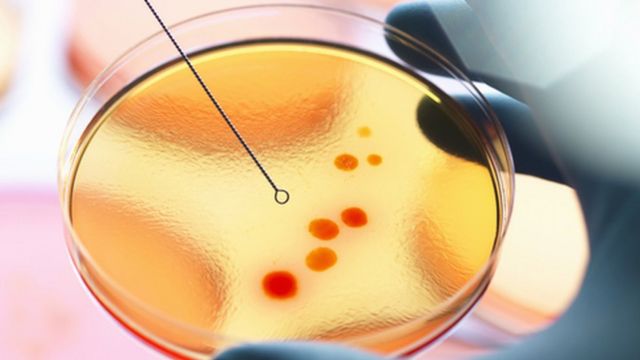 மருத்துவ பரிசோதனை