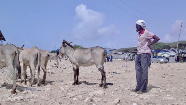 Suuqa dambeeraha