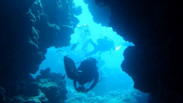 Mergulhadores debaixo d'água