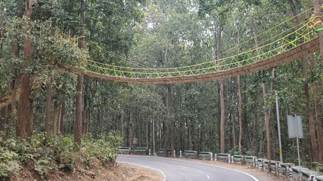 Animal bridge