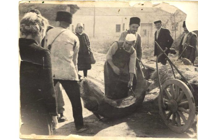 Moruna u selu Milutinovac