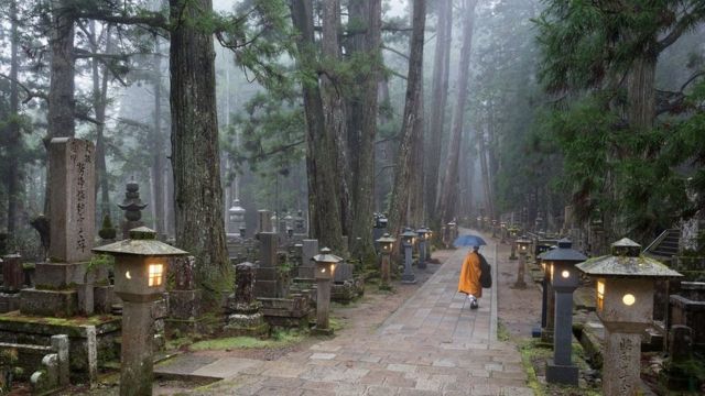 Journey into the Hidden World of Temples in Japan