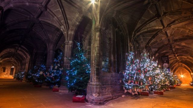 Украшеные рождественские елки внутри собора в Честере
