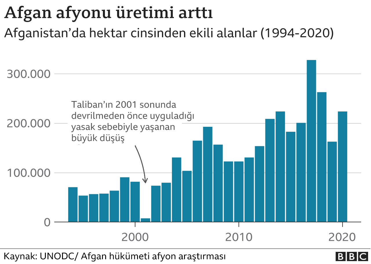 afyon