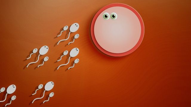 ilustração de espermatozoides entrando em um óvulo