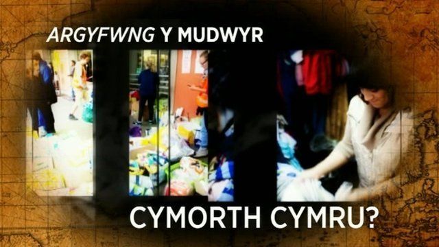 Adroddiad Aled Huw