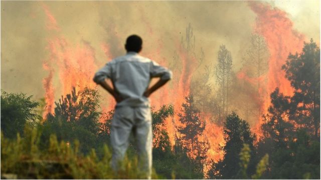 In the heat and drought, forest fires broke out in Chongqing.