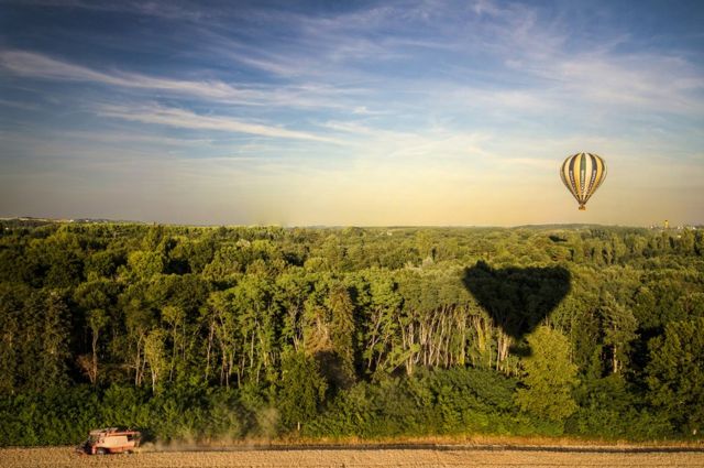 A hot air balloon over the forest