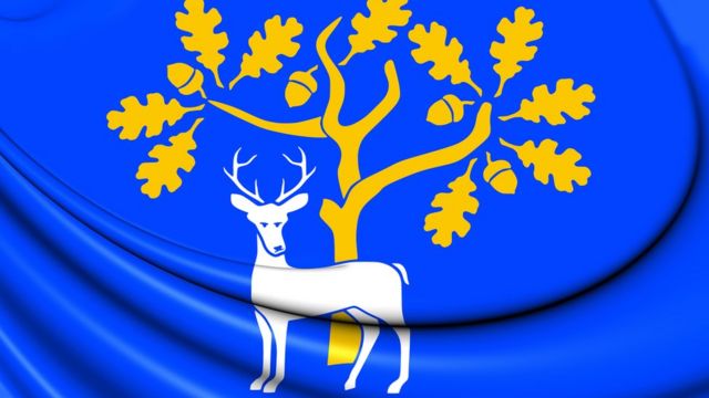 Флаг графства Беркшир
