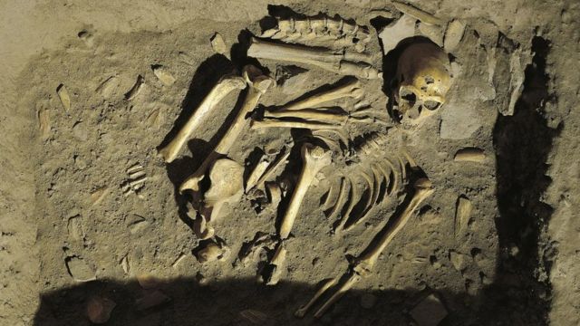 Reconstitution d'une sépulture néandertalienne à la Chapelle-aux-Saints, France