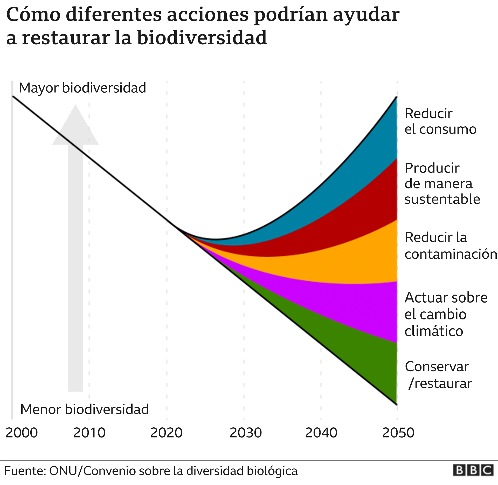 Gráfico: Cámaras digitales: ¿una especie en extinción?