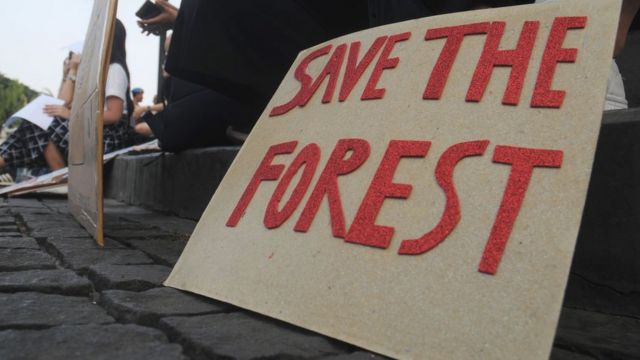 Cakarta'da ormanların yok edilmesi protesto ediliyor.