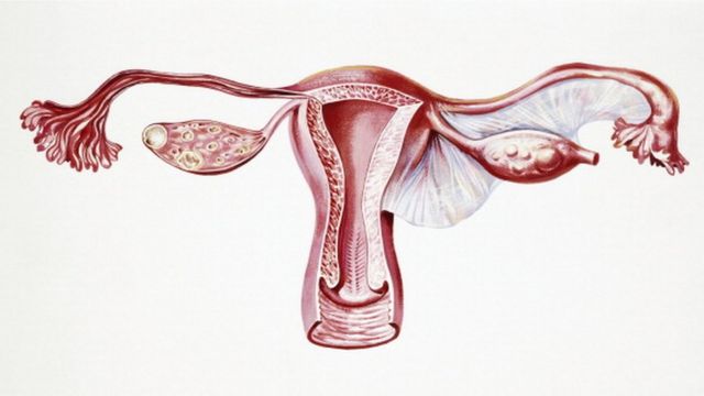 கருத்தரிப்பு சிகிச்சை