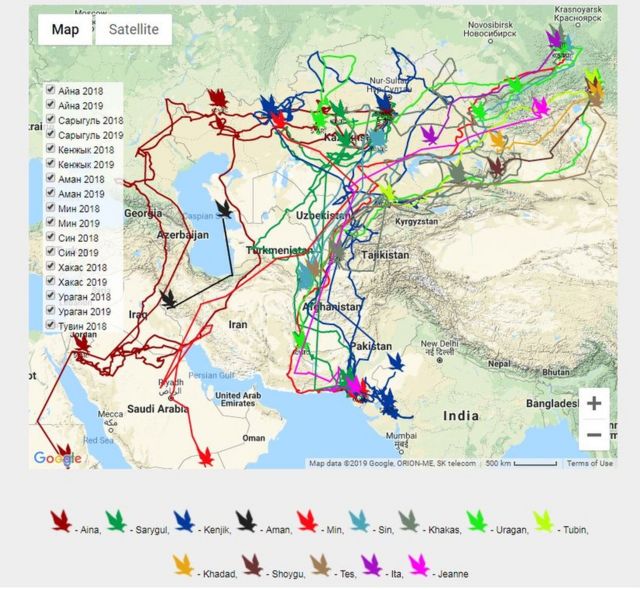 Map showing eagles' winter migration routes