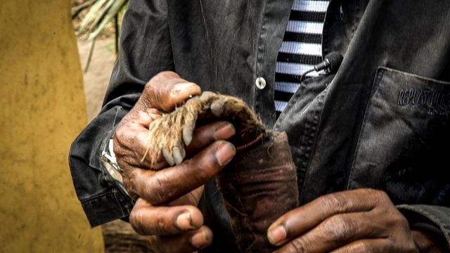 Sxirooleyaasha Afrikaanka ah waxay sixirka u adeegsanadaan qeybo ka mid ah xayawaanka iyo bini'aadamka