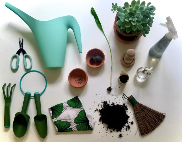 • اورسولا مارتینز تولدا، مانند خیلی‌ها در سراسر دنیا، ساعت‌ها وقت صرف مراقبت از گیاهان خانگی خود در والنسیا، اسپانیا، کرد. او این عکس را برای این پروژه گرفته است. او نوشته بود "سبزی، رشد، حرکت! پرورش، کاشت، آبیاری، مراقبت از… زندگی."