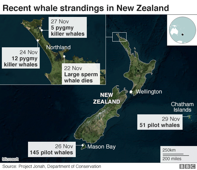 Map showing recent whale strandings in New Zealand - highlighting five incidents