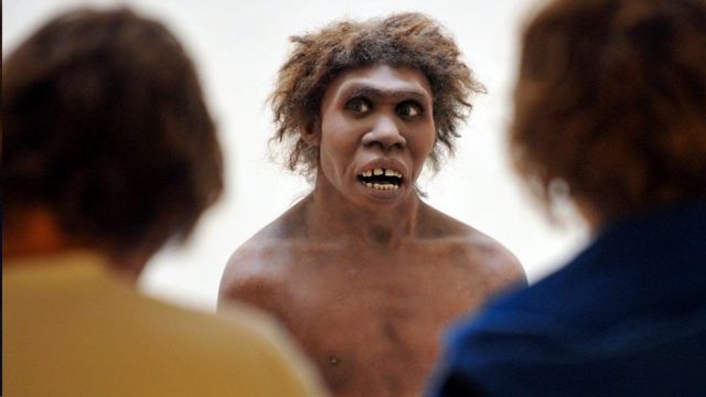 Reconstrucción del cuerpo de un neandertal