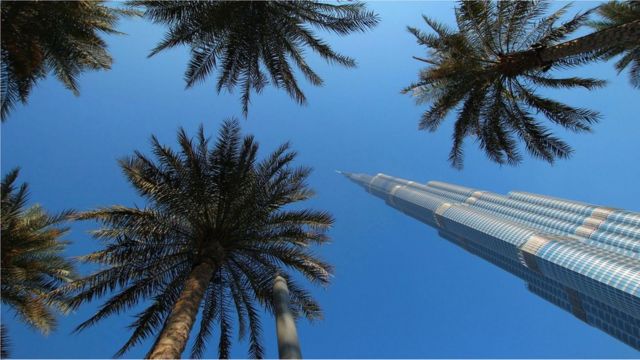 El rascacielos Burj Khalifa de Dubái contrasta con palmeras datileras en su base.