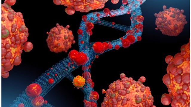 குரங்கு அம்மை வைரஸ்