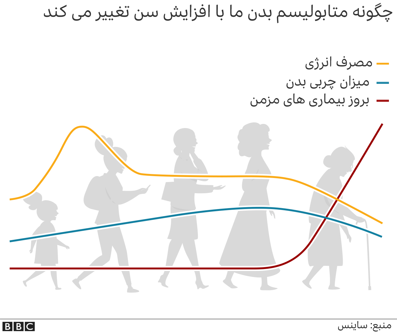 متابولیسم