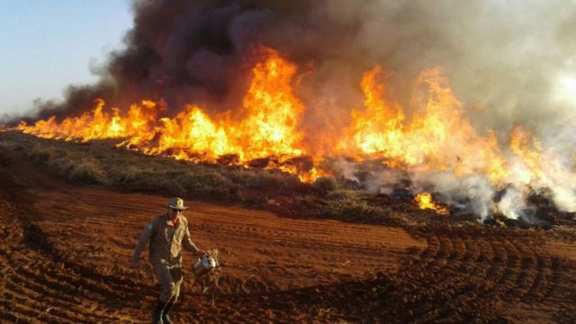 Bombeiro diante de queimada no Mato Grosso do Sul em 23 ago 2019