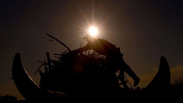 Trabajadores de la caña en El Salvador