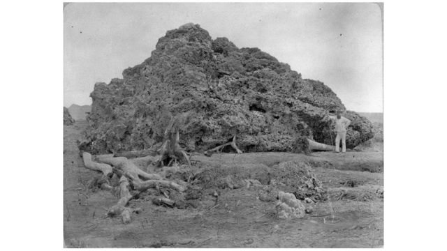 Foto do Tropenmuseum