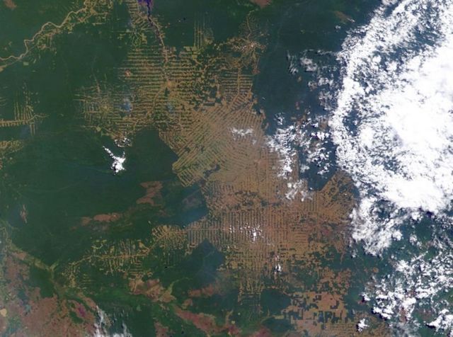 ماهواره‌های لندست روند جنگل‌زدایی در آمازون را نیز پیگیری کرده‌اند
