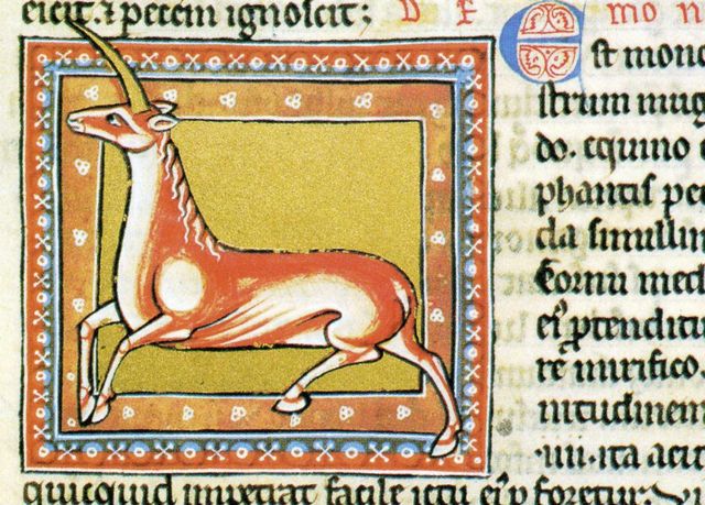 Los unicornios no eran lo que luego llegaron a ser. Este es del bestiario de Ashmole, siglo XIII.