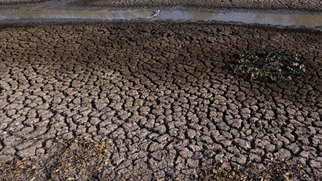 Área totalmente seca no Pantanal