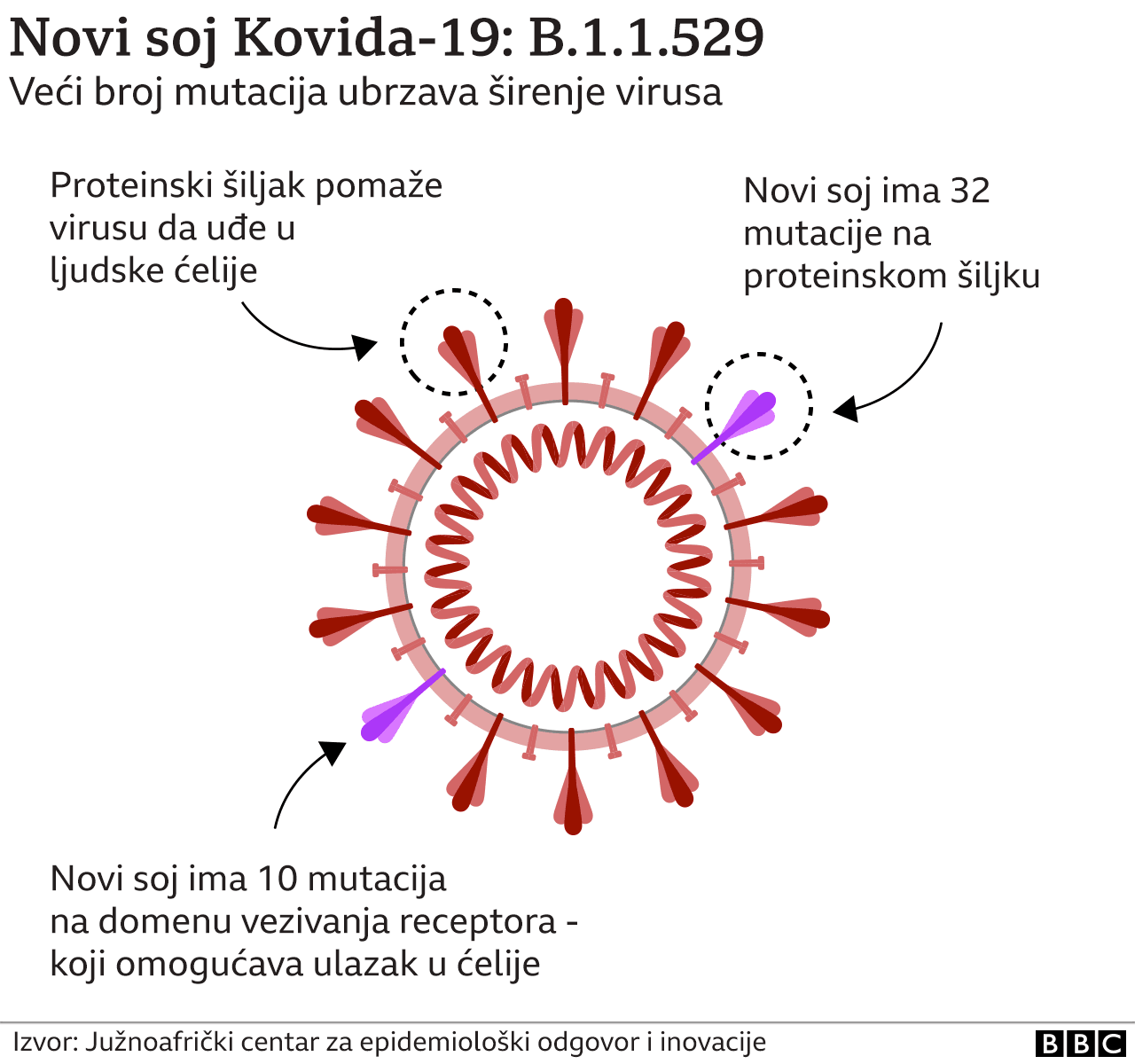 Korona Virus I Omikron Šta Do Sada Znamo O Novom Soju Bbc News Na Srpskom 6293