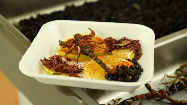 Скорпион со специями на рынке Сан-Хуан