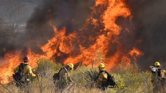 Firefighters battle a wind driven wildfire in the hills of Canyon Country north of Los Angeles